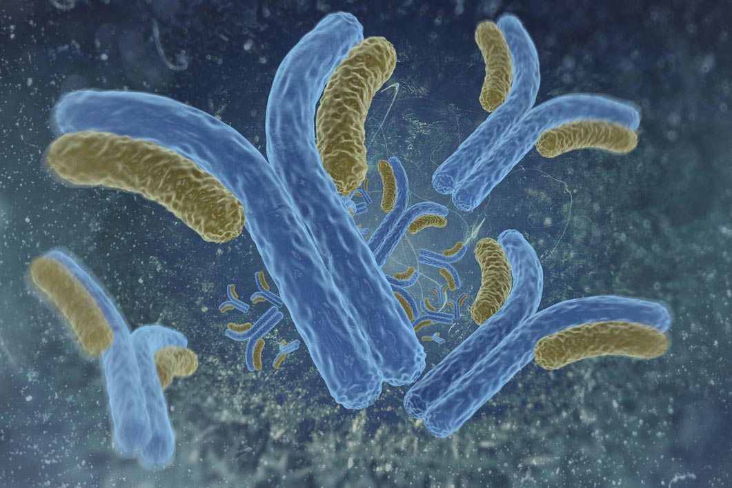 Prion Protein Monoclonal Antibody - BAR 233