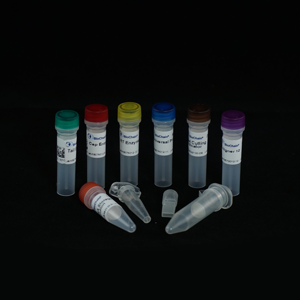 RapidSeq High Yield Small RNA Sample Prep Kit - With Aligner 13-24