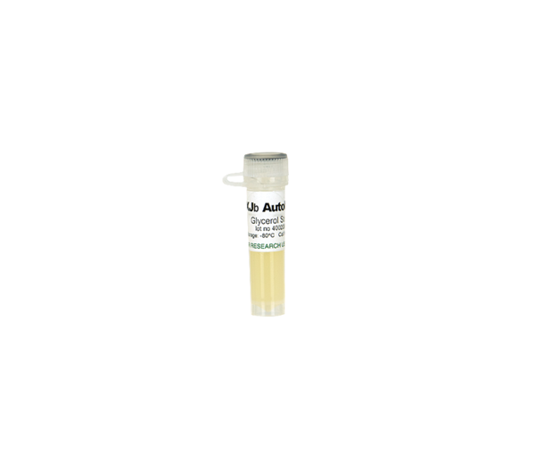 XJb Autolysis Glycerol Stock