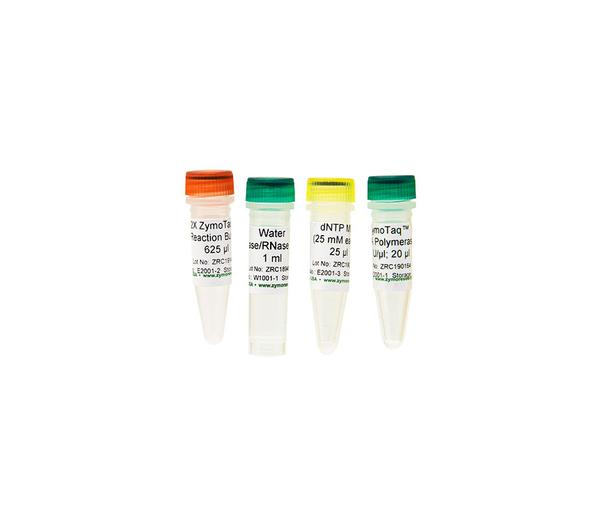 ZymoTaq DNA Polymerase